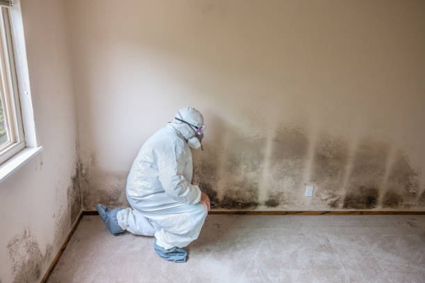 Asbestos and Lead Testing During Mold Inspection in Head Of The Harbor, NY